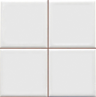 Плитка Argenta Ceramica  Matrix White 20x20